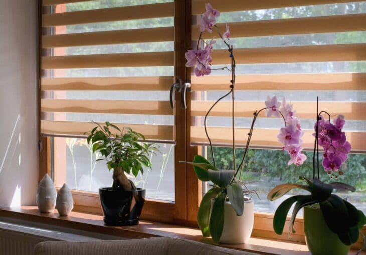 Beige Day and Night blinds softening natural light in a living room
