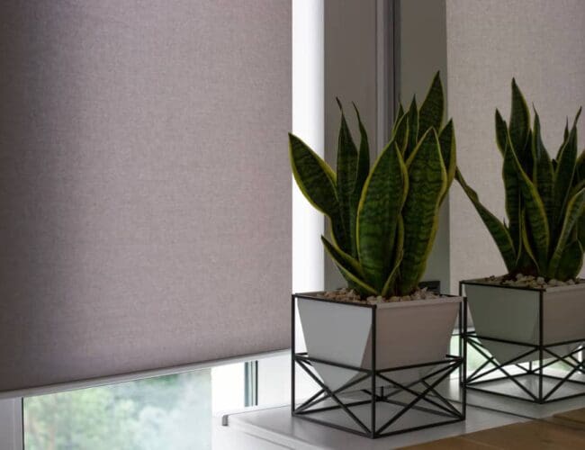 panel-blinds-for-your-home